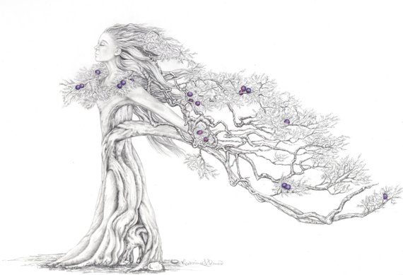 570x389 limited edition print juniper graphite drawing of etsy - Tree Woman Drawing