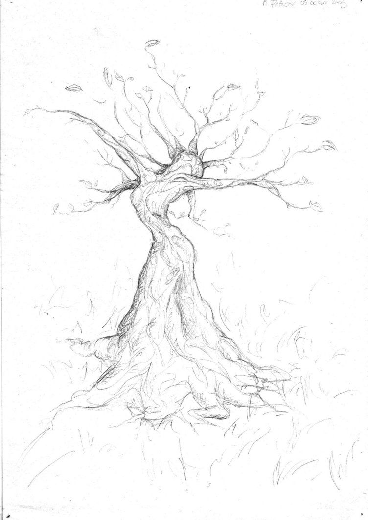 752x1063 Woman Tree - Tree Woman Drawing