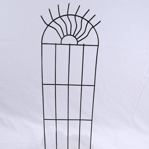 Trellis Drawing at Explore collection of Trellis