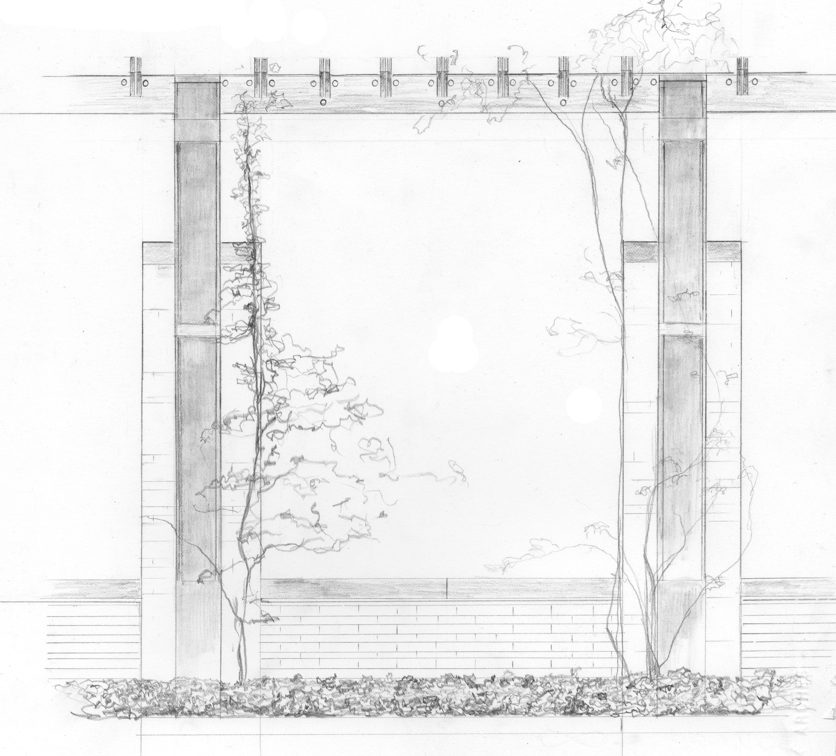 Trellis Drawing at Explore collection of Trellis
