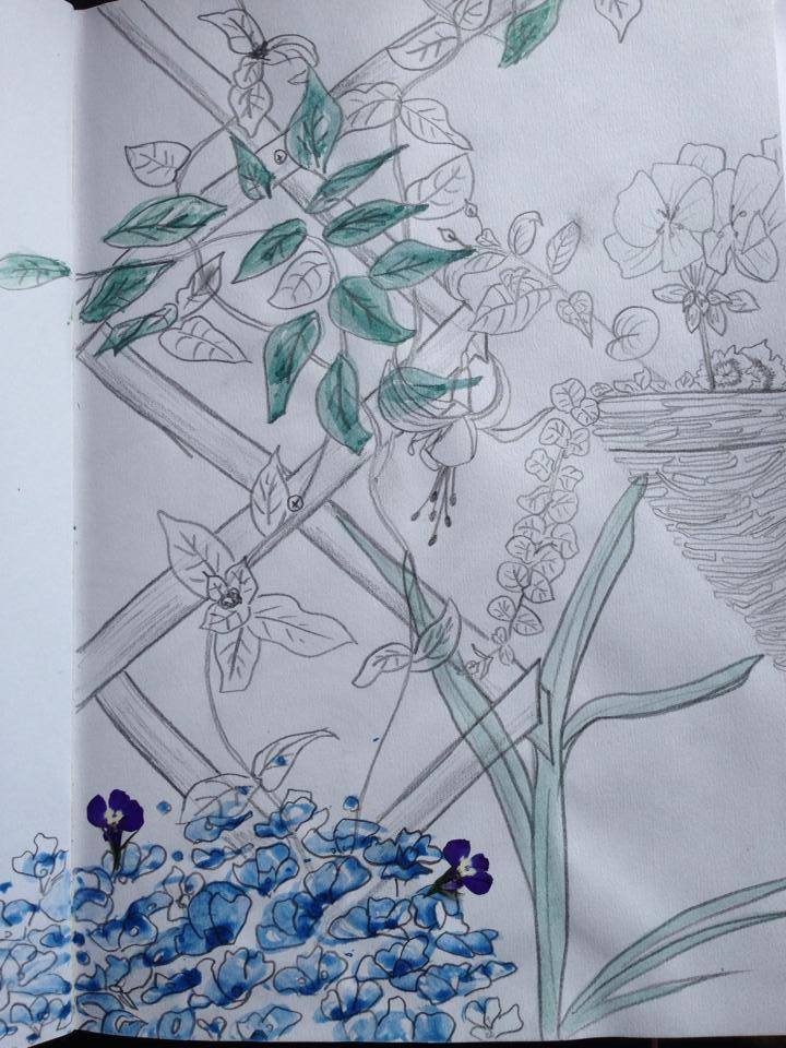 720x960 Garden Trellis Drawing - Trellis Drawing