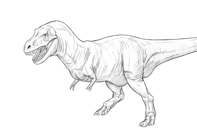 400x277 how to draw a t rex dinosaur - Trex Drawing