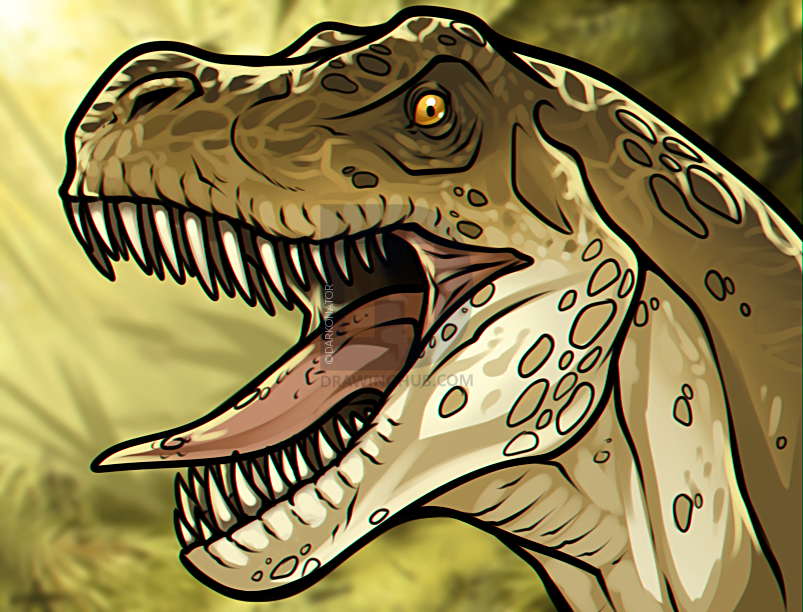 803x612 how to draw a t rex head, step - Trex Drawing