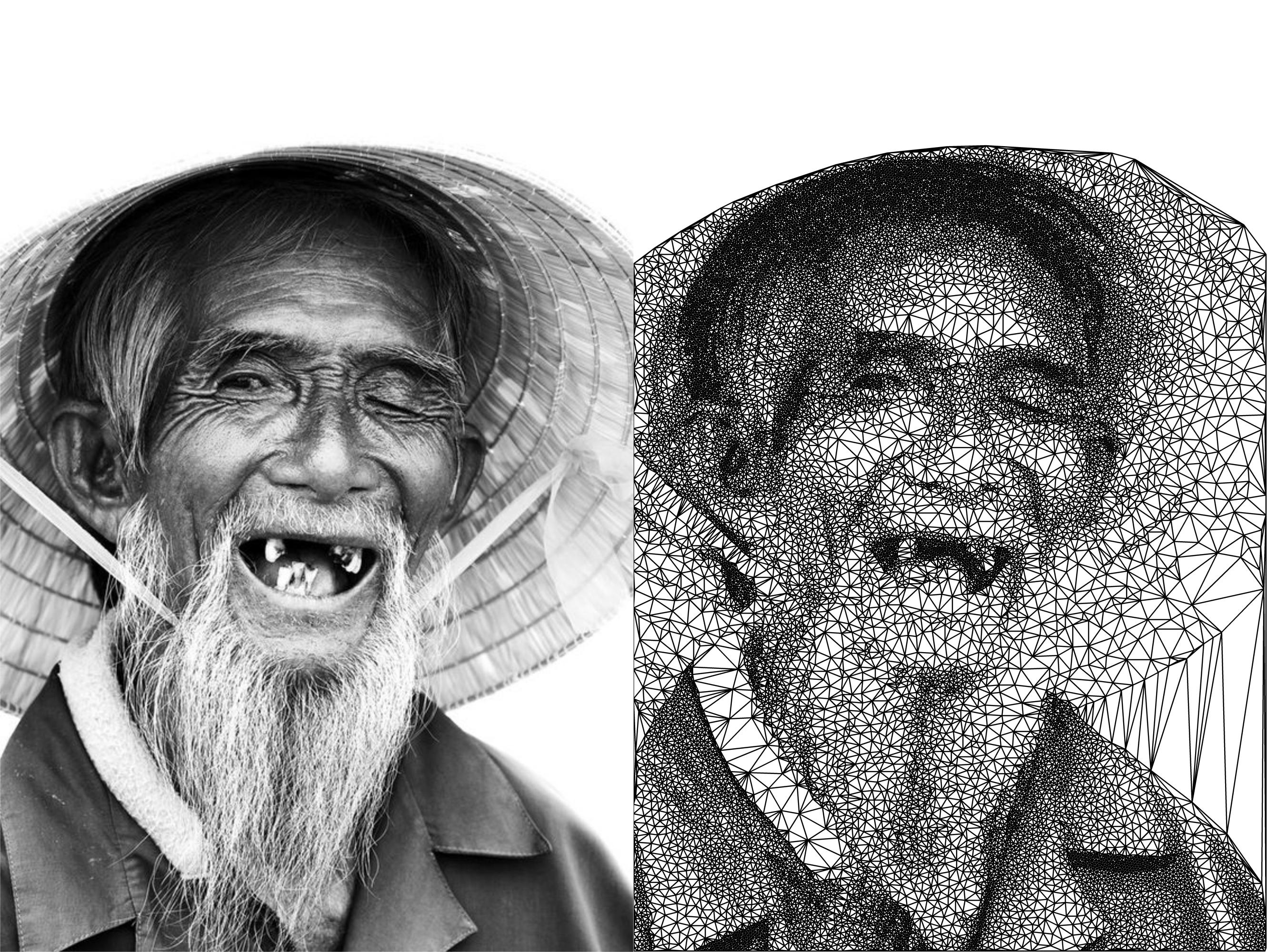 2661x2000 Different Type Of Triangulation Portrait - Triangulation Drawing