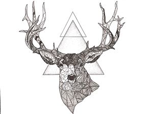 300x223 Into The Wild - Triangulation Drawing