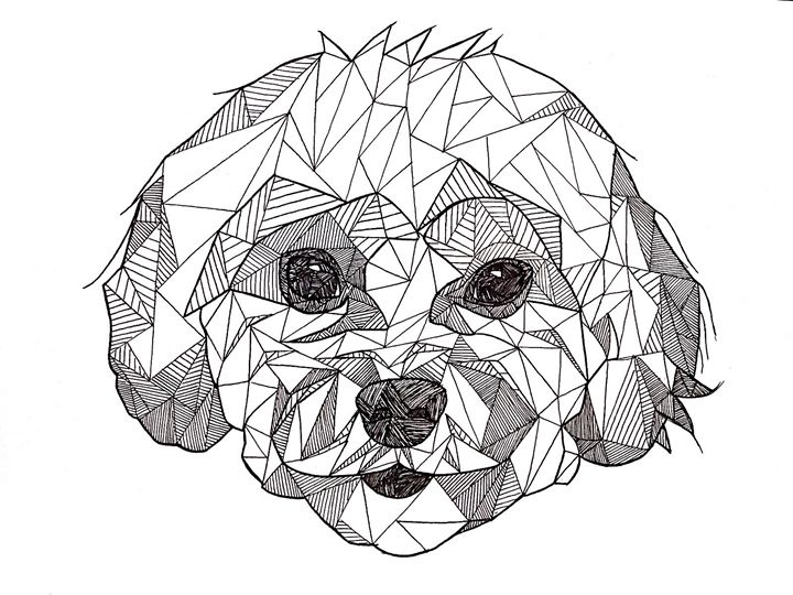 720x540 Puppy - Triangulation Drawing
