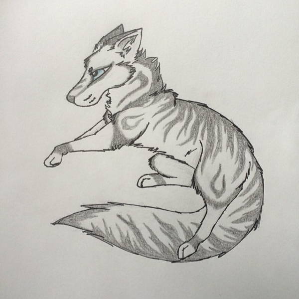 Tribal Animal Drawings