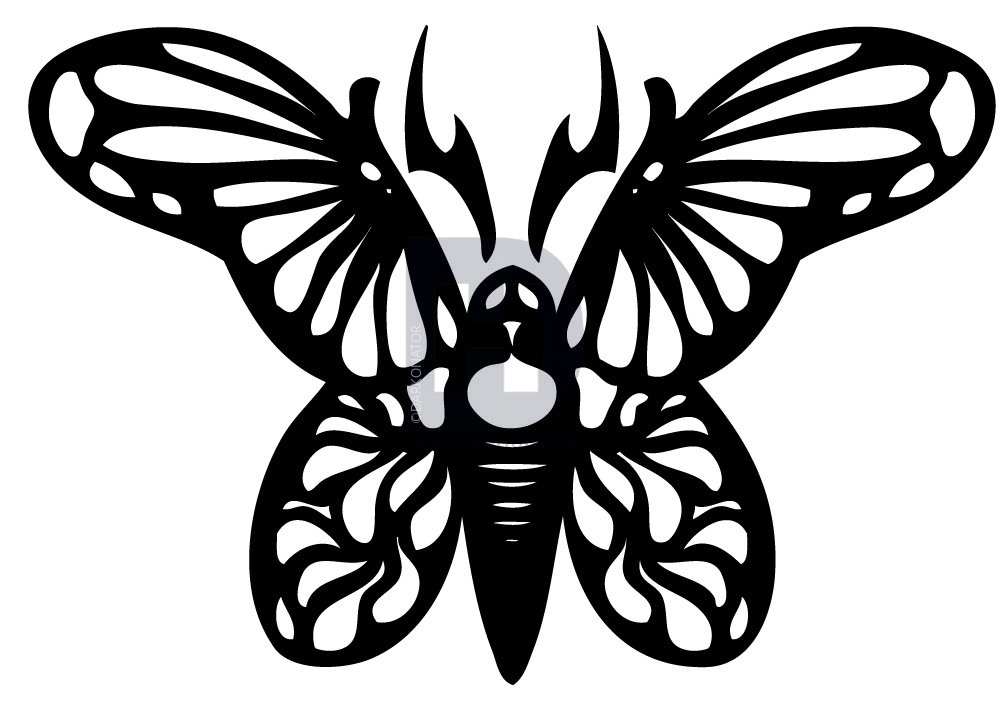 1000x711 How To Draw A Tribal Butterfly, Step - Tribal Butterfly Drawing