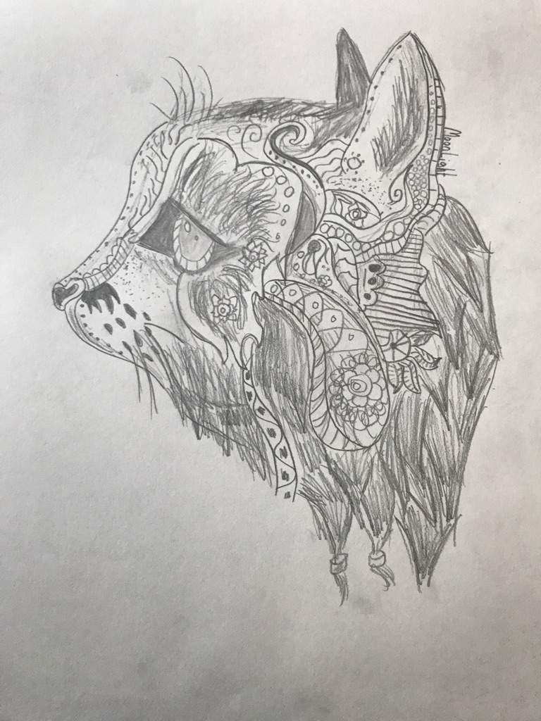 768x1024 Tribal Cat Drawing Amino - Tribal Cat Drawing