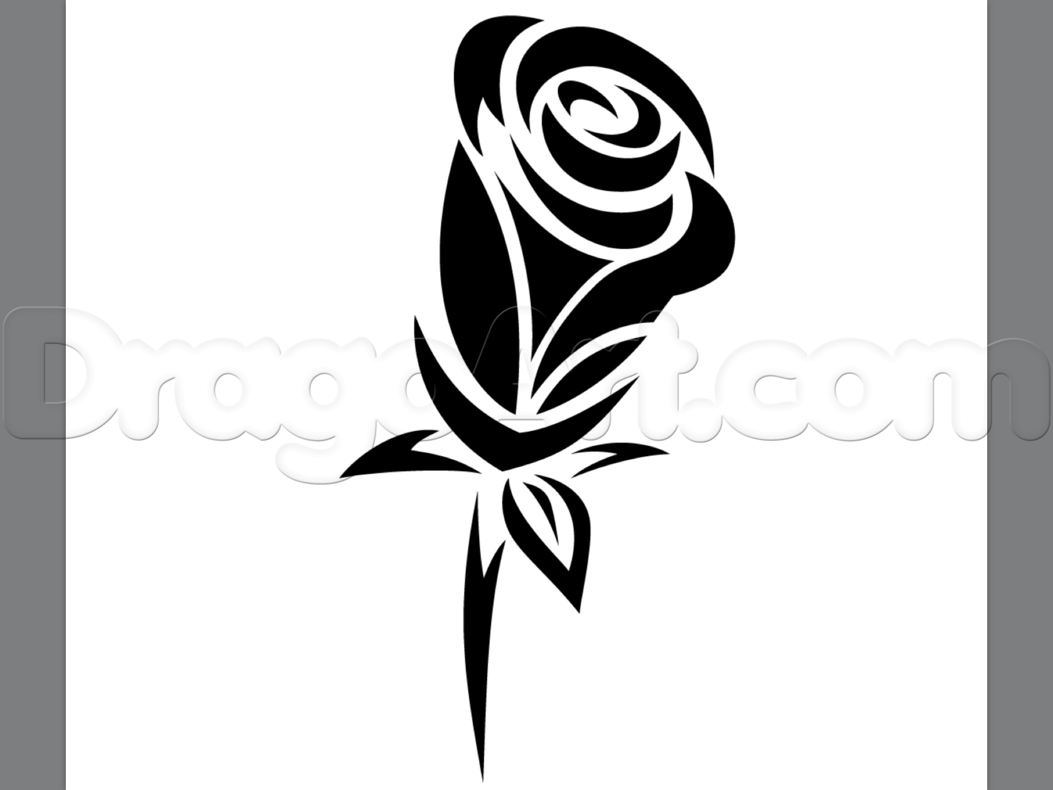 2048x1536 How To Draw A Tribal Rose Tattoo, Step - Tribal Drawing Step By Step