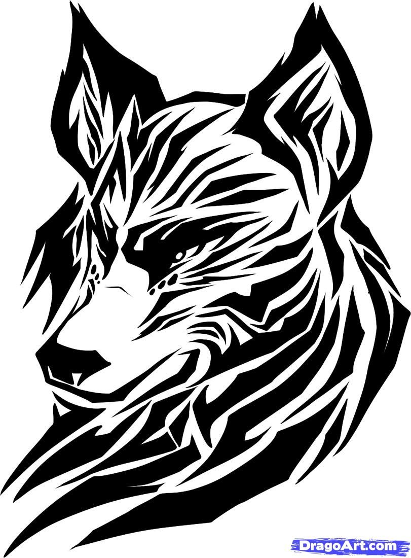 811x1100 draw a tribal wolf, tribal wolf, step - Tribal Drawings
