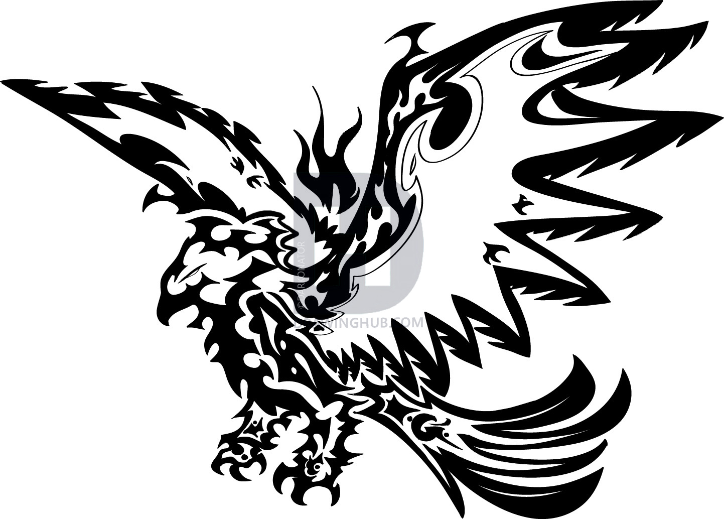 1443x1034 How To Draw A Tribal Eagle, Step - Tribal Eagle Drawing