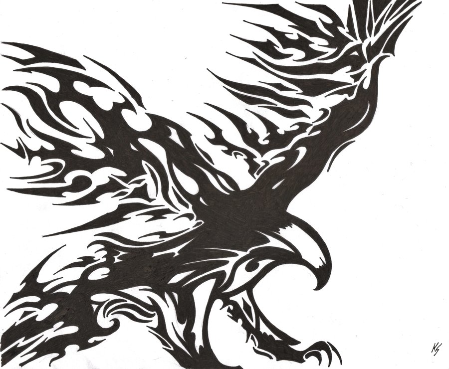 900x740 Tribal Eagle Drawing - Tribal Eagle Drawing