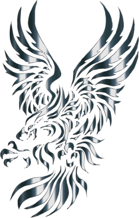 480x750 bald eagle drawing bird golden eagle cc0 - Tribal Eagle Drawing