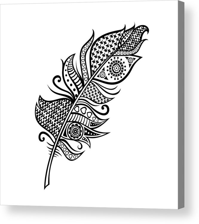 666x750 vector ethnic doodle isolated feather, black on white vintage - Tribal Feather Drawing