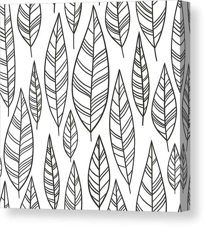 678x750 boho tribal feather collection canvas print canvas art - Tribal Feather Drawing