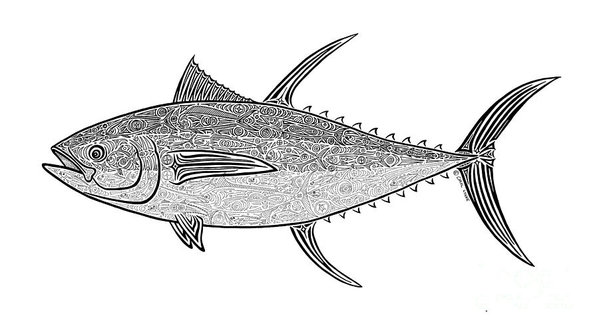 599x332 Tribal Ahi Poster - Tribal Fish Drawing