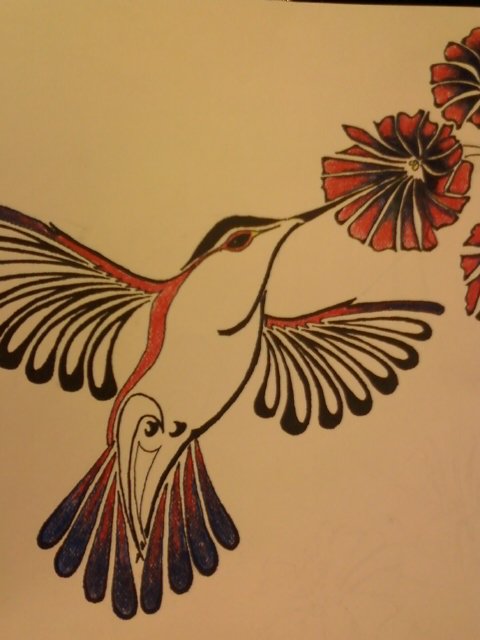480x640 Hummingbird Tribal Drawings - Tribal Hummingbird Drawing