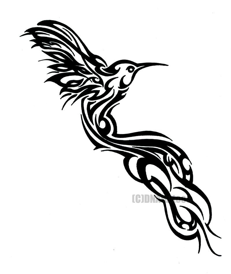 800x949 Hummingbird Tribal - Tribal Hummingbird Drawing