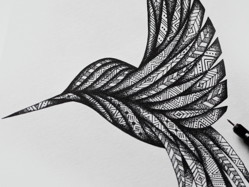 800x600 Tribal Hummingbird - Tribal Hummingbird Drawing