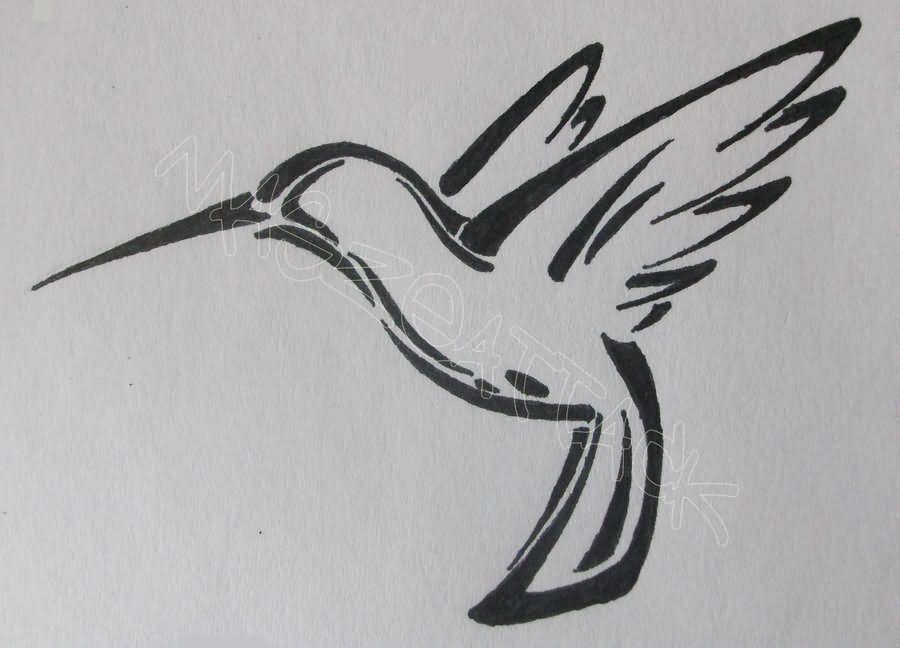 900x648 Tribal Outline Hummingbird Tattoo Design - Tribal Hummingbird Drawing