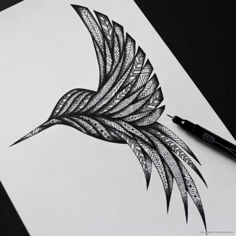 800x800 Dribbble - Tribal Hummingbird Drawing