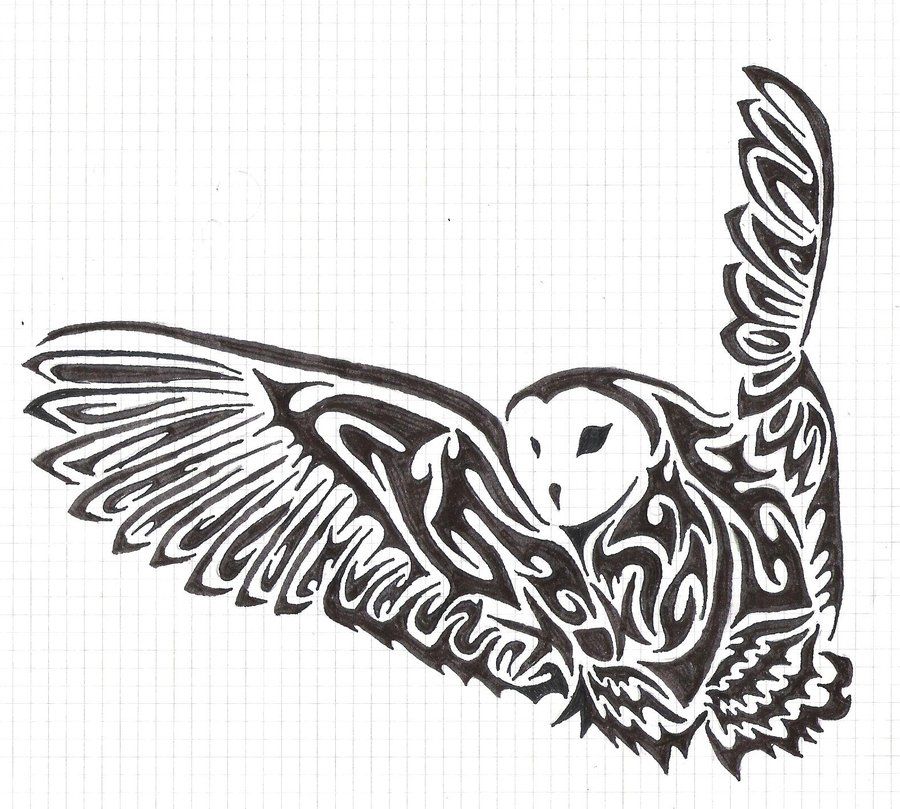 900x809 i want this on my shoulder! tribal owl - Tribal Owl Drawing
