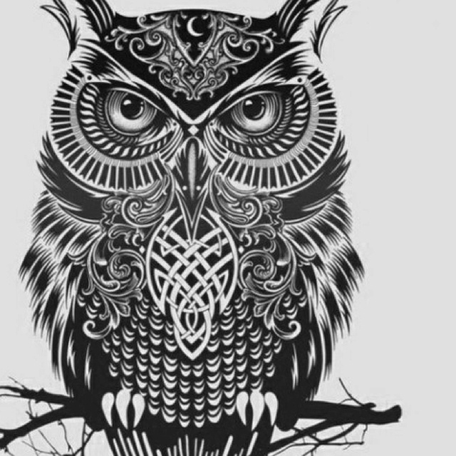 640x640 Owl Tribal Drawing - Tribal Owl Drawing