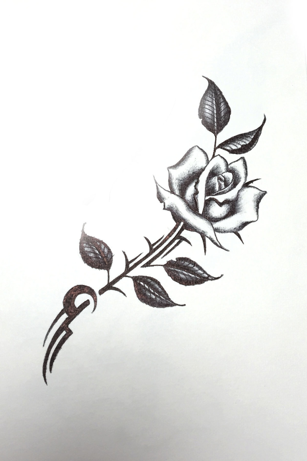 Tribal Rose Drawing At PaintingValley Com Explore Collection Of   Tribal Rose Drawing 31 