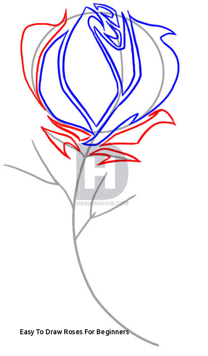 421x720 Easy To Draw Roses For Beginners How To Draw A Tribal Rose Step - Tribal Rose Drawing