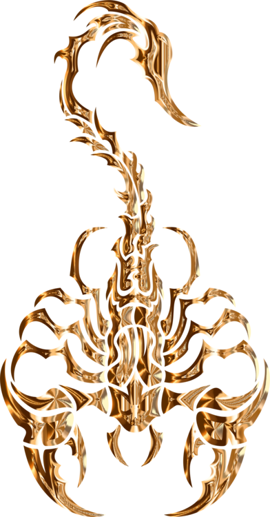 392x750 Scorpion Drawing Tribe Computer Icons Cc0 - Tribal Scorpion Drawing