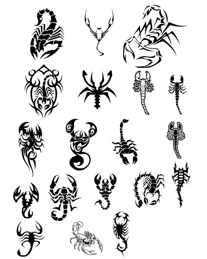 694x865 Tattoo Of A Tribal Scorpion Tattoo Ideas - Tribal Scorpion Drawing