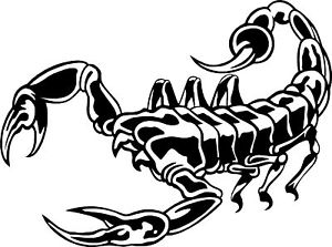 300x223 Tribal Scorpion Car,land Rover Van Bike Stickers Ebay - Tribal Scorpion Drawing