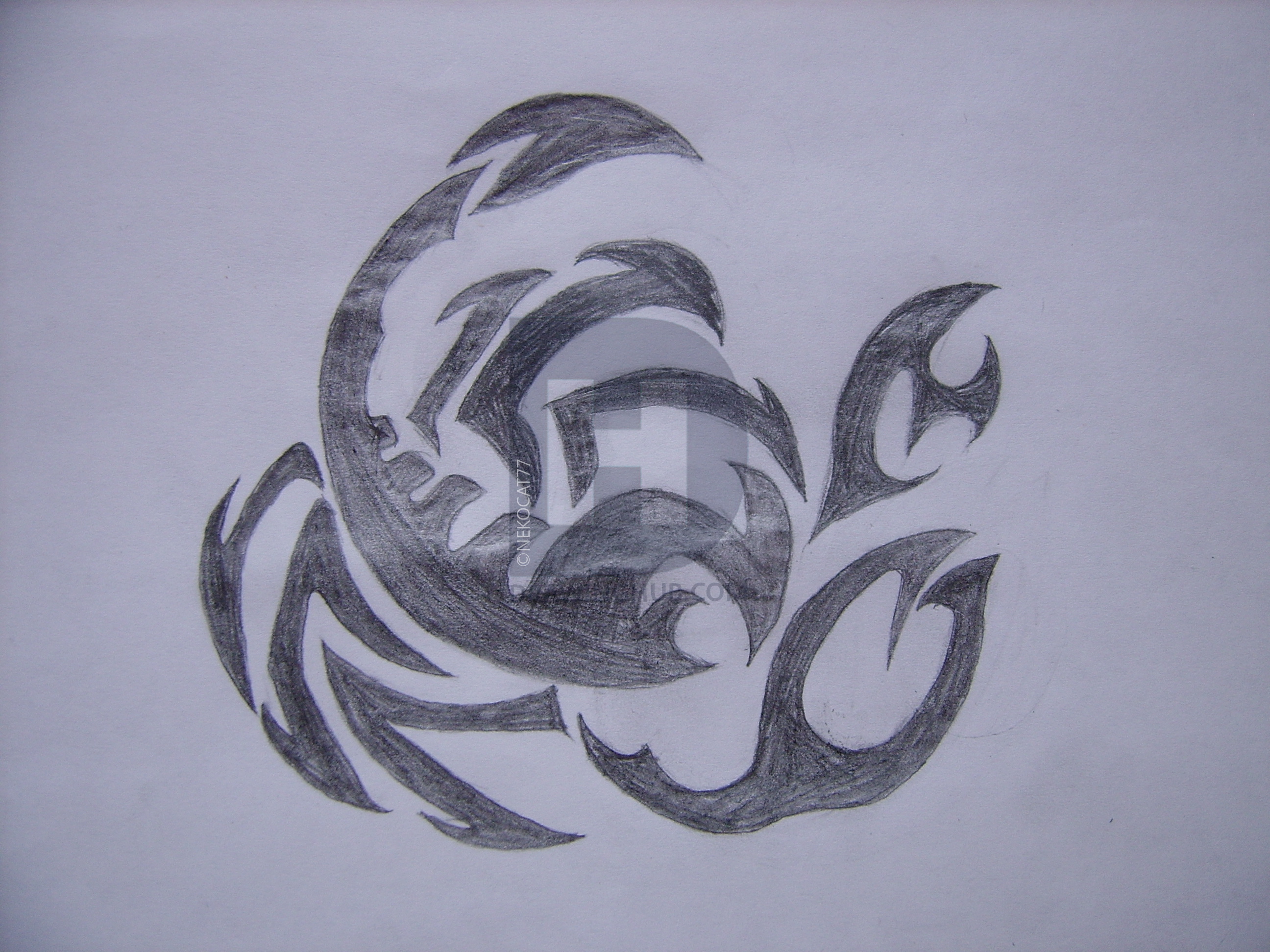 2592x1944 Tribal Scorpion Drawing - Tribal Scorpion Drawing