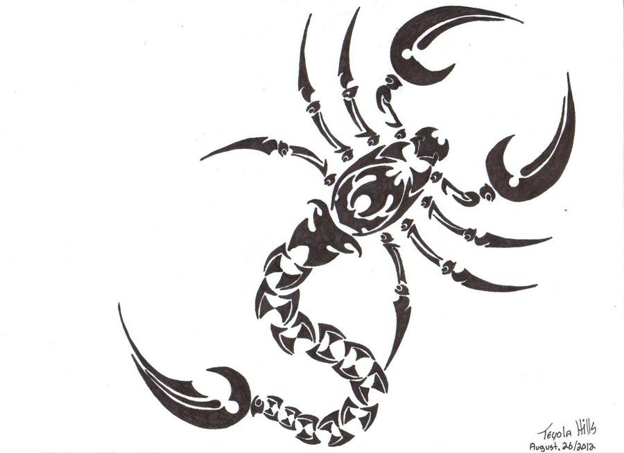 900x654 tribal scorpion tattoo drawing tats tattoos, tattoo drawings - Tribal Scorpion Drawing
