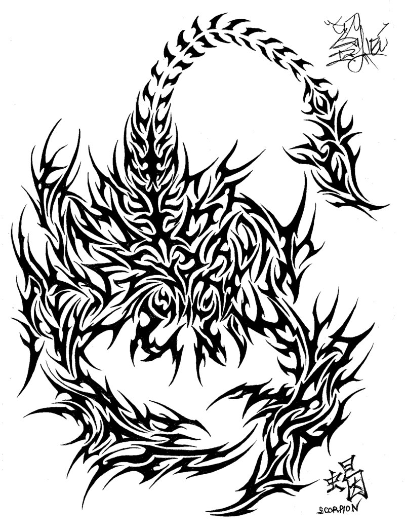 800x1050 Tribal Scorpion Wallpaper - Tribal Scorpion Drawing