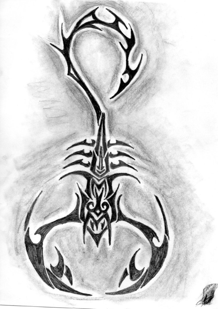 Tribal Scorpion Drawing At PaintingValley Com Explore Collection Of   Tribal Scorpion Drawing 34 