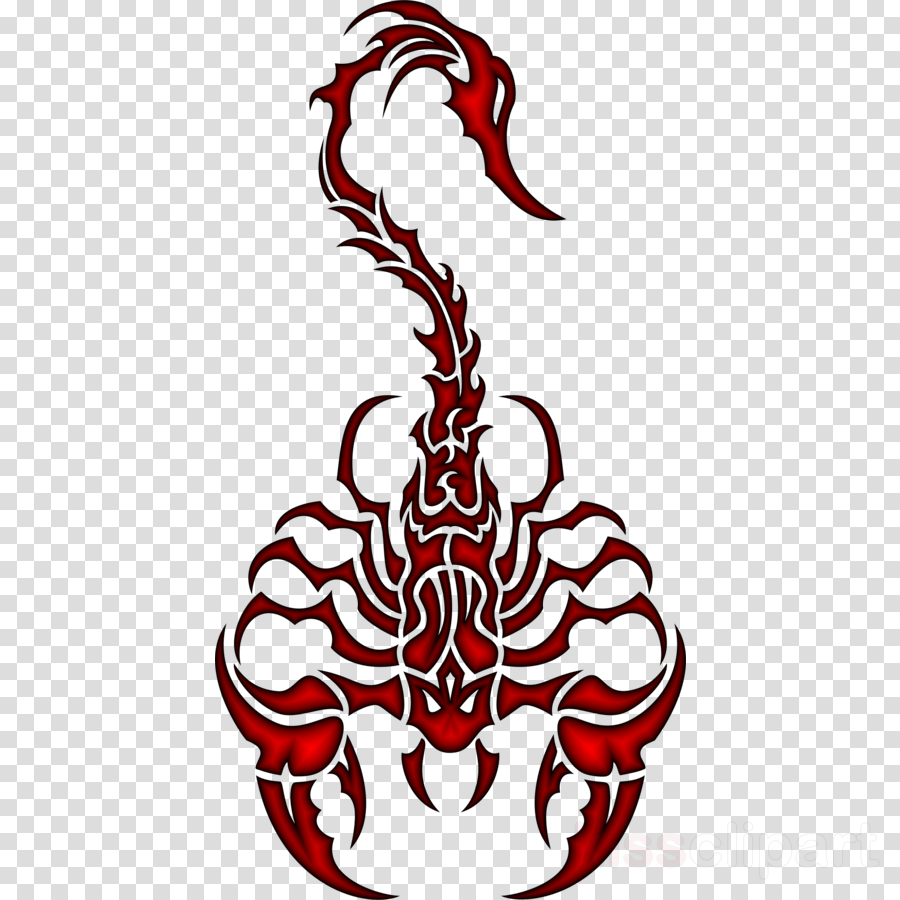 Tribal Scorpion Drawing At PaintingValley Com Explore Collection Of   Tribal Scorpion Drawing 6 