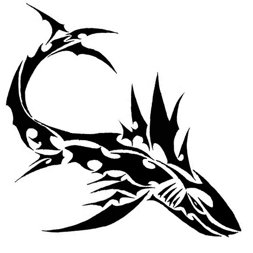 500x500 New Tribal Shark Tattoo Photo Tattoo Ideas - Tribal Shark Drawing