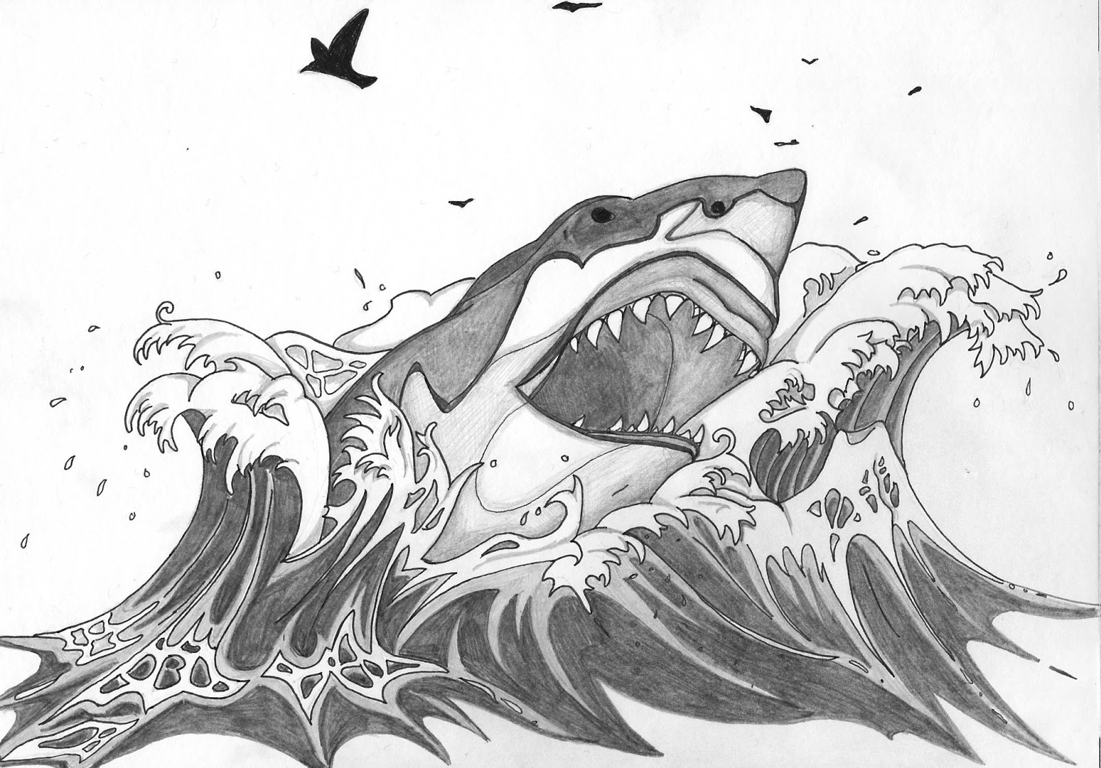 1600x1116 Tribal Shark Drawing In Pencil - Tribal Shark Drawing