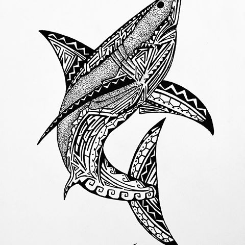 480x480 Tribal Shark Drawing - Tribal Shark Drawing