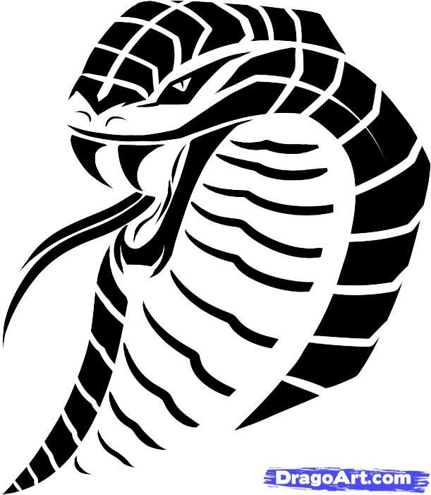 611x701 how to draw a tribal snake, tribal snake, step - Tribal Snake Drawing