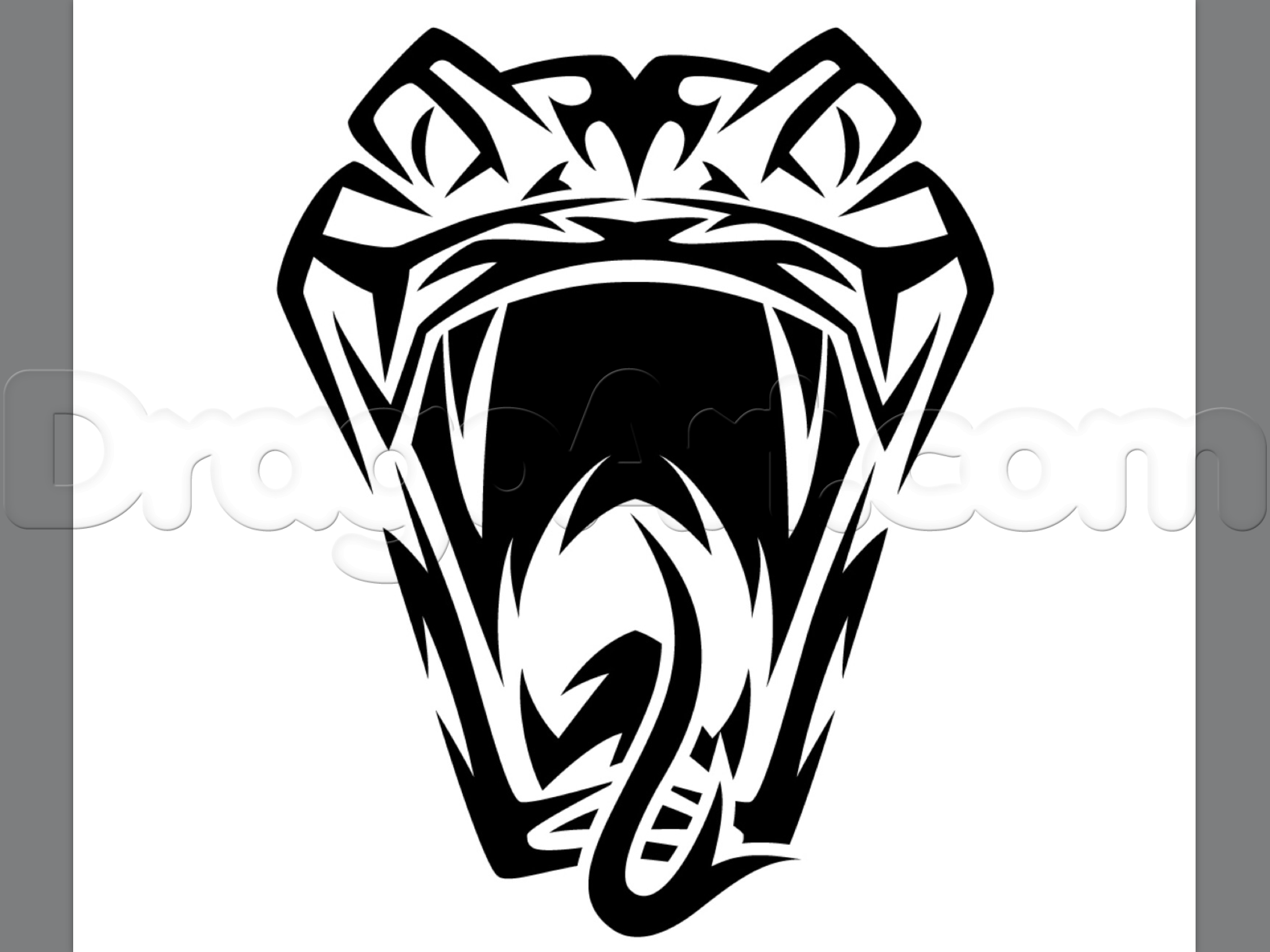 2048x1536 How To Draw Tribal Snake Tattoo, Step - Tribal Snake Drawing