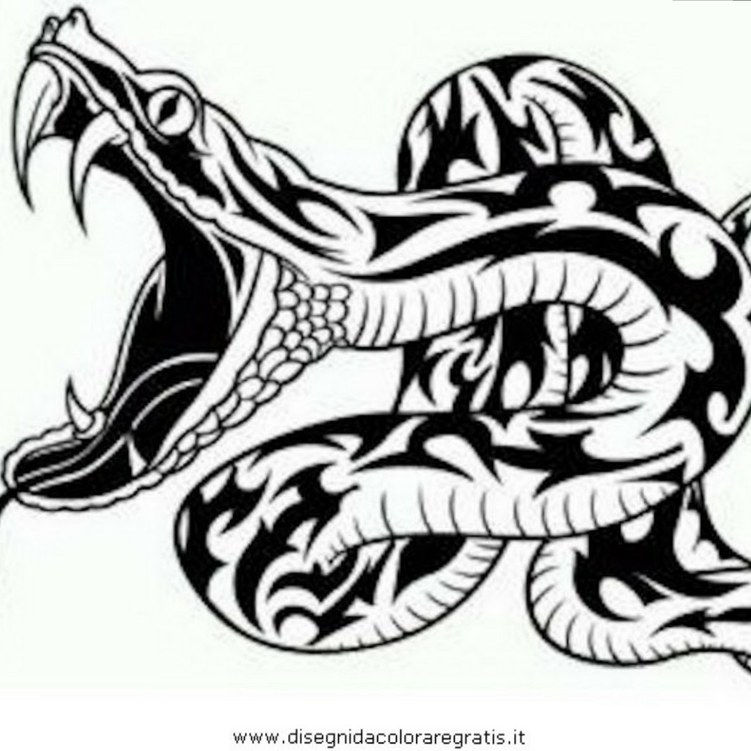 1077x1077  - Tribal Snake Drawing