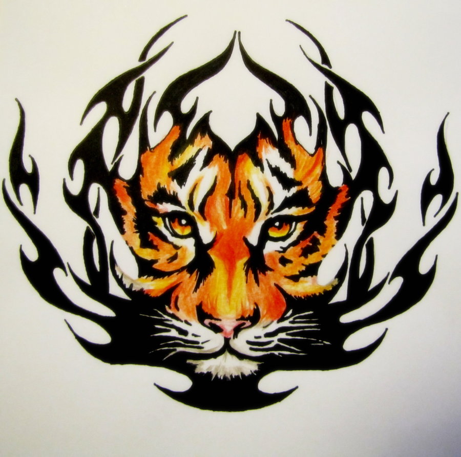 900x893 Tribal Tiger Drawings - Tribal Tiger Drawing