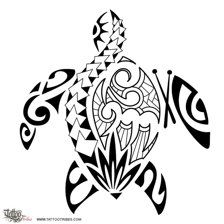 Tribal Turtle Drawing at PaintingValley.com | Explore collection of ...