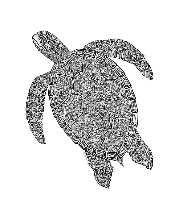581x700 Tribal Turtle Ii Drawing - Tribal Turtle Drawing