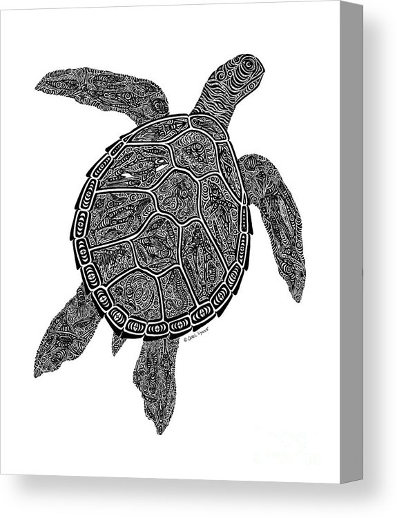 575x750 Tribal Turtle Iii Canvas Print Canvas Art - Tribal Turtle Drawing