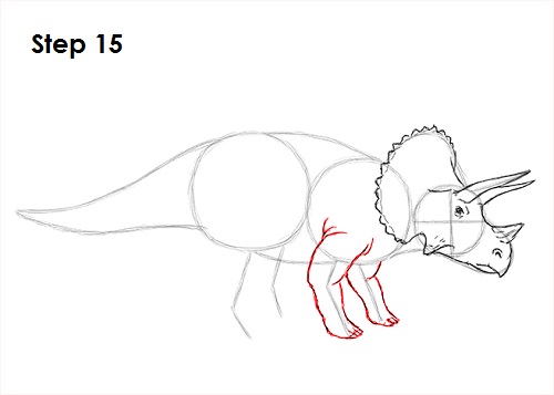 500x357 how to draw a triceratops - Triceratops Drawing