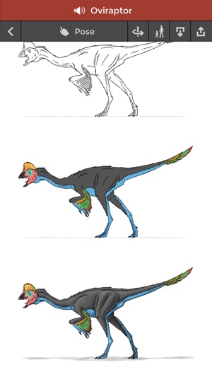 300x533 pose draw dinosaurs on the app store - Triceratops Drawing